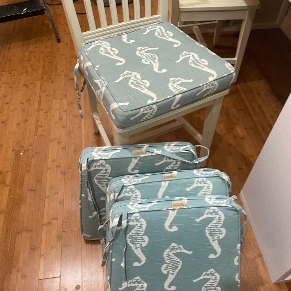 Four Chair cushions